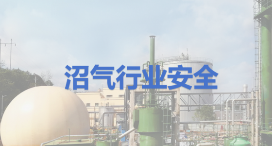 沼氣產(chǎn)業(yè)的安全監(jiān)測(cè)：甲烷傳感器推薦